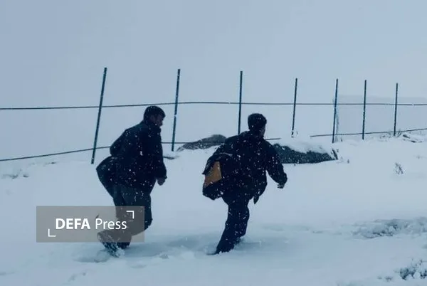 سینما