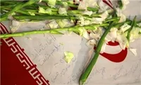 نماهنگ/ شهدا که رفتند