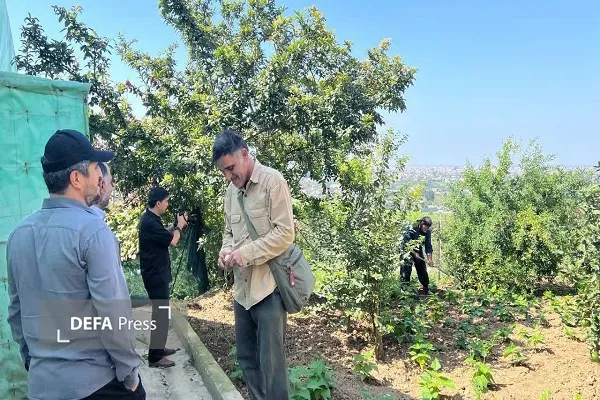 آغاز تولید مجموعه مستند «ایستاده با پرچم» در مازندران
