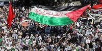 فیلم/ روز قدس امسال یک خروش بین‌المللی علیه رژیم غاصب صهیونیستی خواهد بود