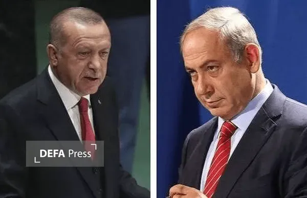 دولت دولت