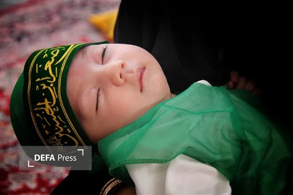 شیرخوارگان شیرخوارگان