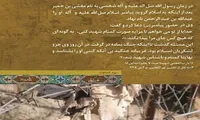 طرح/ «سلوک گمنامی» (۷)