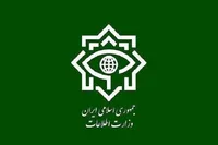 عاملان تیراندازی به تجمعات مردمی بازداشت شدند
