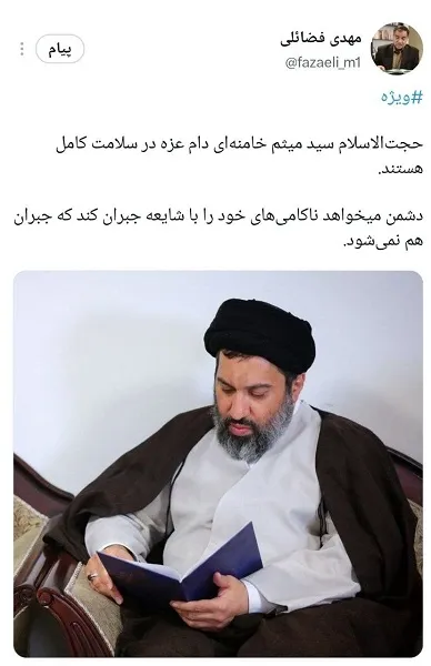 فضائلی