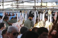 فعالیت ۷ مرکز عرضه بهداشتی دام زنده در تهران همزمان با عرفه و عید قربان