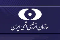سکوت آژانس در قبال حمله به تأسیسات هسته‌ای همدستی با جنایتکاران است