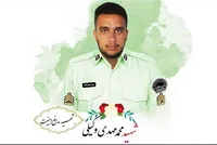 حکم قصاص قاتل مامور نیروی انتظامی در چهارباغ اجرا شد