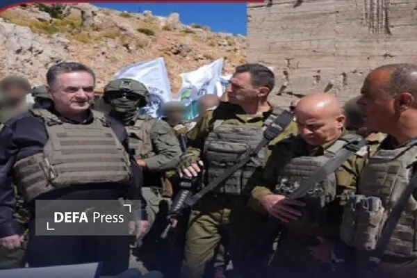 ط ط