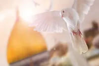 ما به قربان تو رفتیم، ابا عبدالله (ع)
