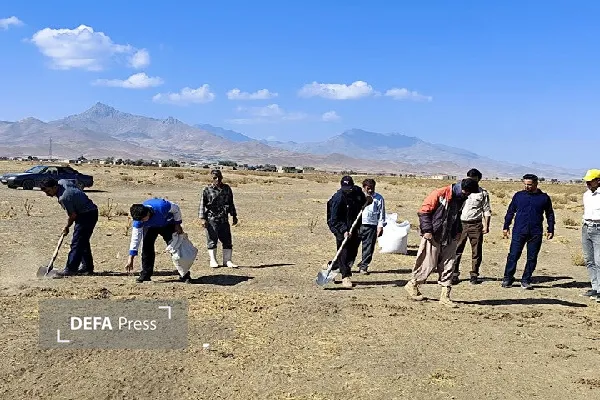 فاز نخست بزرگ‌ترین پروژه مشارکتی کپه‌کاری کردستان در قروه آغاز شد