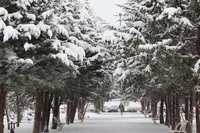 تصاویر/ جلوه‌هایی از زیبایی زمستان در اردبیل