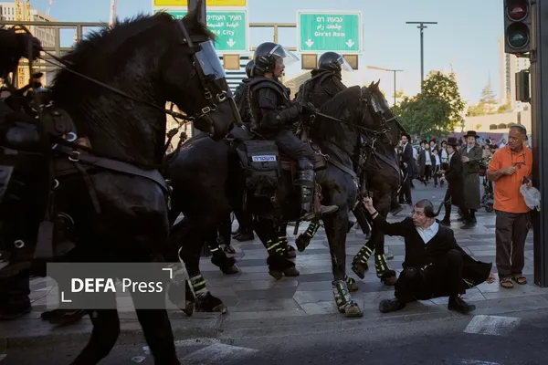 حریدی‌