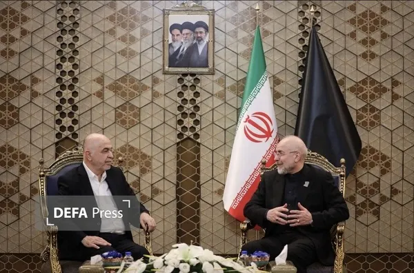 قالیباف قالیباف