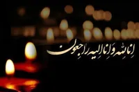 مادر شهید محمدهادی حاجی رحیمی به فرزندش پیوست