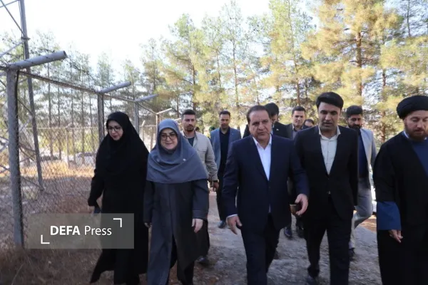 مهاجرانی