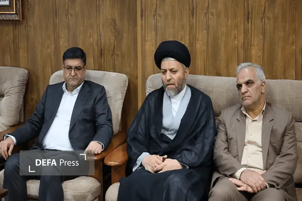 مردانی: صیانت از حقوق عامه محور همکاری دستگاه‌های اجرایی و قضایی است