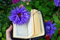 طرح/ خدایا مرا به تلاوت قرآن موفق بدار...