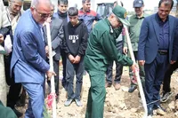 کاشت ۸۵ هزار اصله نهال در پویش سرو ایران و نهال امید در کهگیلویه و بویراحمد