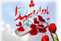 بیست و هفتمین یادواره ۲۰ شهید والامقام روستای ناوه برگزار می‌شود