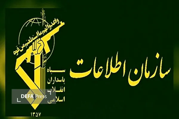 عکس عکس
