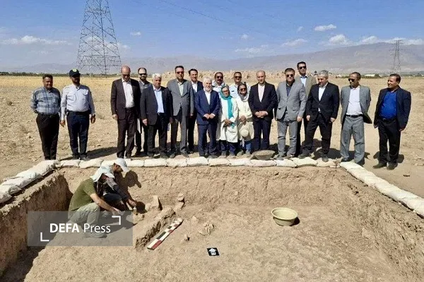 علی دارابی