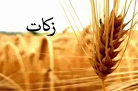 هدف‌گذاری ۳۰ میلیاردتومانی زکات در ایلام