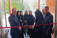 یکپارچه‌سازی متولیان آموزش پیش‌دبستانی در مازندران؛ الزام دریافت «گواهی صلاحیت حرفه‌ای» برای مربیان