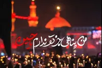 من پناهی جز تو ندارم یا حسین (ع)