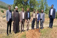 کاشت ۲۰۰ اصله نهال امید در منطقه سرنجل‌کل بویراحمد