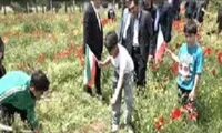 کاشت ۱۵۰ نهال به‌یاد امام شهید و دانش‌آموزان شهید در اردوگاه شهید کمالوند خرم آباد