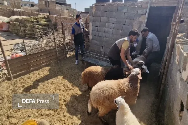 دفاع پرس یزد دفاع پرس یزد